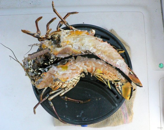 38- Langouste au barbecue 